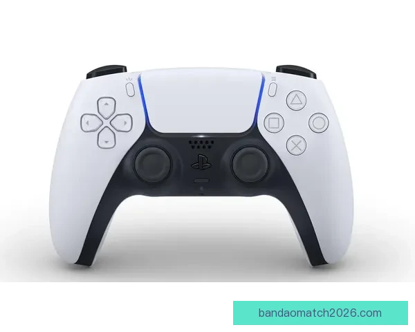 半岛体育登录入口全攻略最新使用指南与平台功能体验解析教程分享