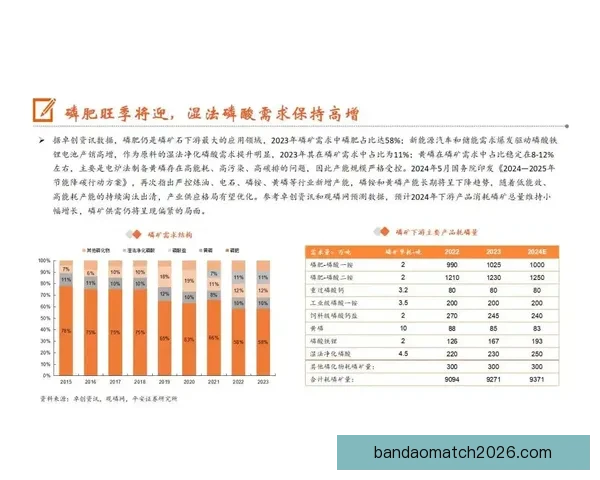 世界杯竞猜赔率深度解析与投注策略全方位指南
