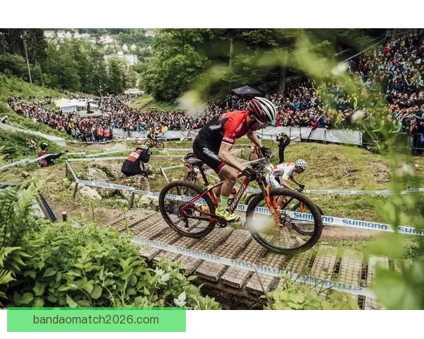 世界杯胜负竞猜分析：深入解读各队实力对比与赛程走势