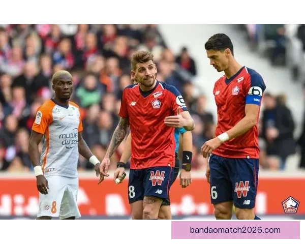 精准分析赛事胜负趋势，打造高命中率体育竞猜投注策略